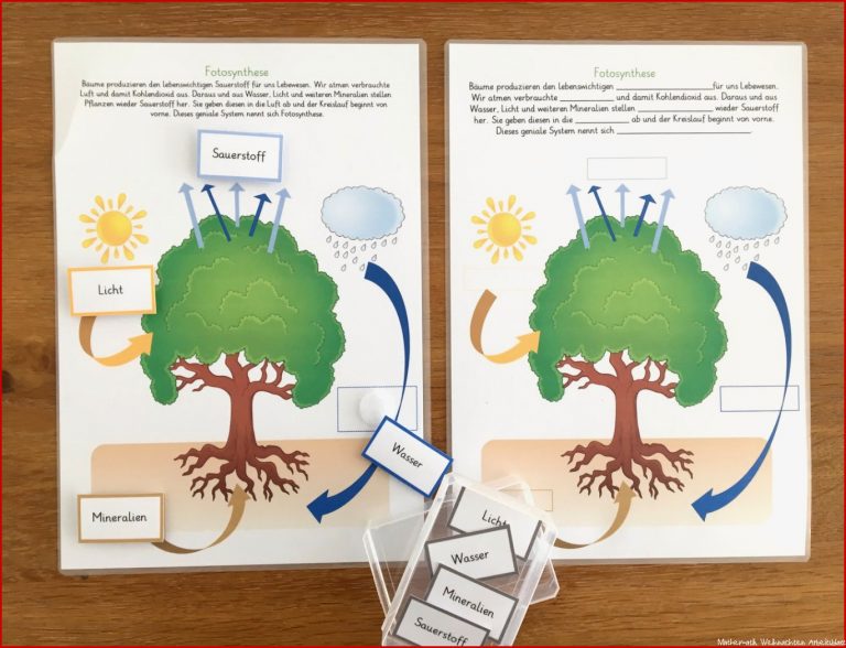 Fotosynthese KLETT und Lückentextmaterial Spielend