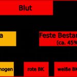 Freies Lehrbuch Biologie 08 10 Blut Und Blutgruppen