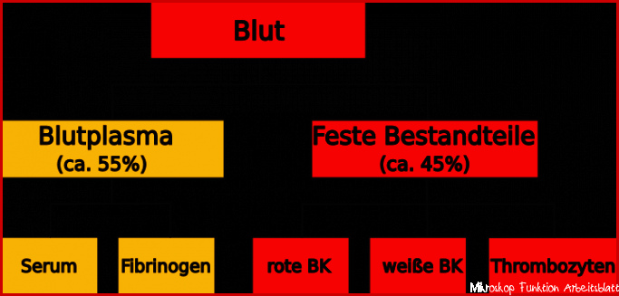 Freies Lehrbuch Biologie 08 10 Blut und Blutgruppen