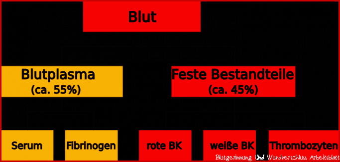 Freies Lehrbuch der Biologie Für Schüler und Studenten