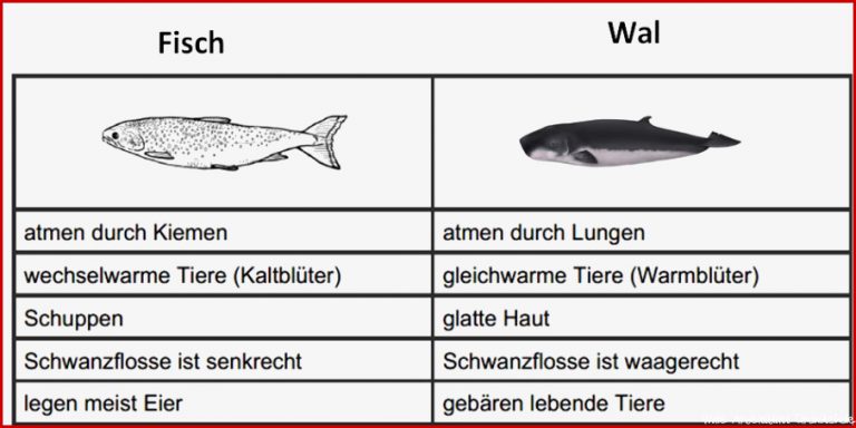 Freitag 29 01 2021 – Grundschule 