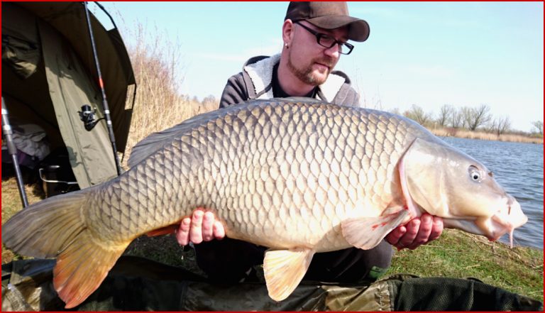 Friedfisch Angelverein Jarmen e V