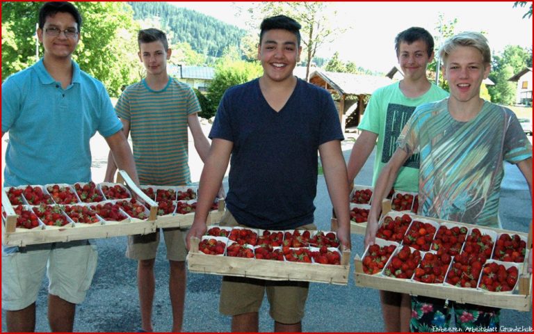 Frische Erdbeeren aus dem Ländle