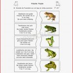 Fröschewerkstatt Für Grundschule