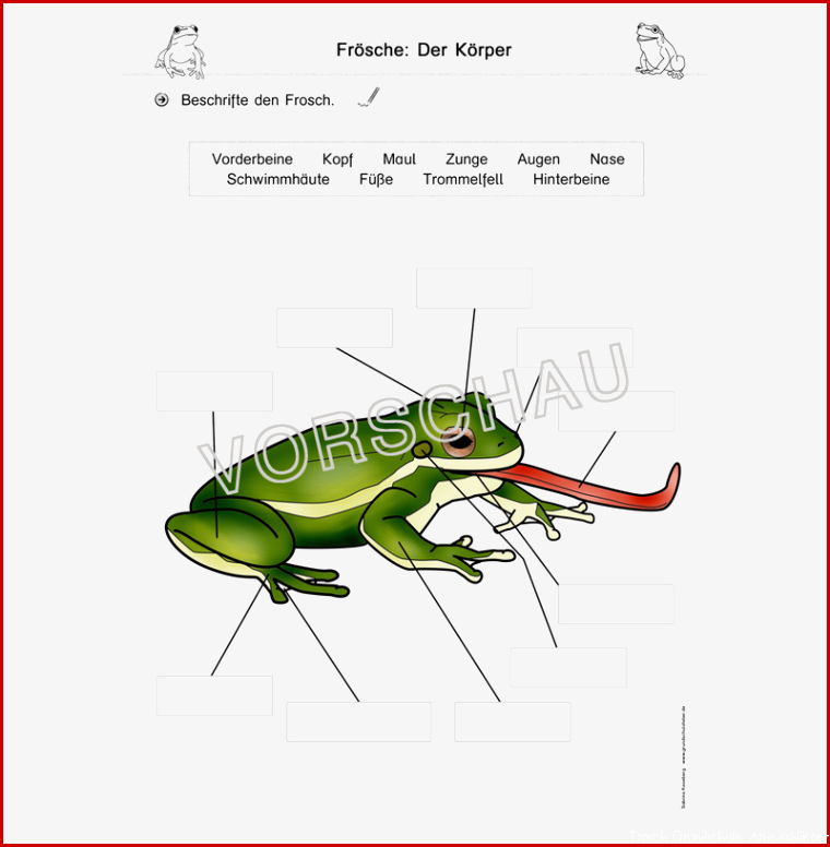 Fröschewerkstatt für Grundschule