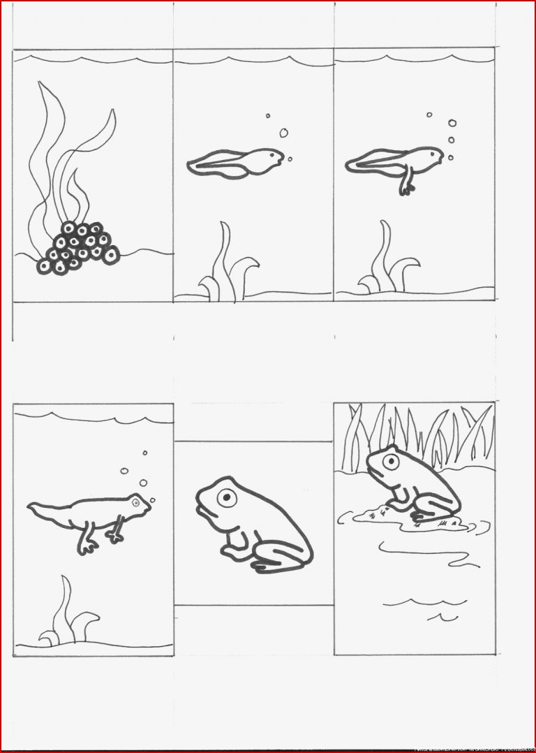 Frosch Frosch thema Naturwissenschaften für grundschule