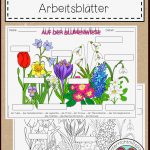 Frühblüher Arbeitsblätter – Unterrichtsmaterial In Den