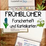 Frühblüher forscherheft Und Karteikarten