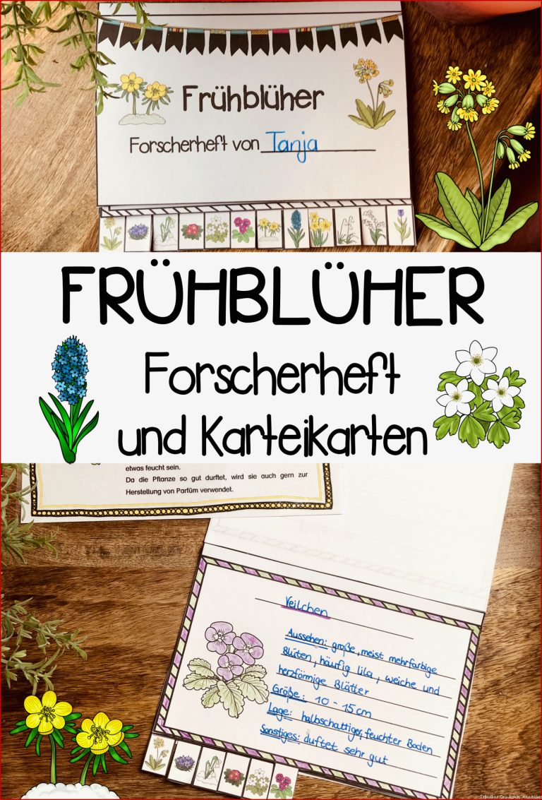 Frühblüher Forscherheft und Karteikarten