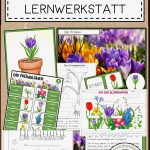 FrÜhblÜher Lernwerkstatt – Unterrichtsmaterial In Den