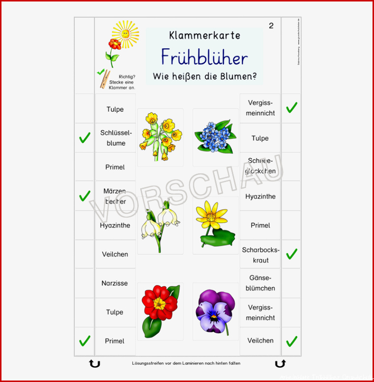 Frühblüher Werkstatt für Grundschule