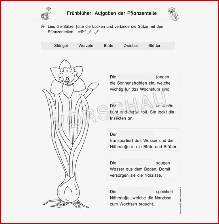 Frühblüher Werkstatt für Grundschule