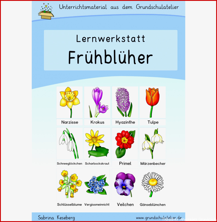 Frühblüher Werkstatt für Grundschule