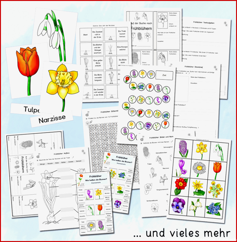 Frühblüher Werkstatt für Grundschule