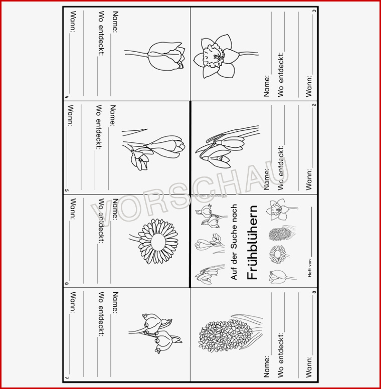 Frühblüher Werkstatt Für Grundschule