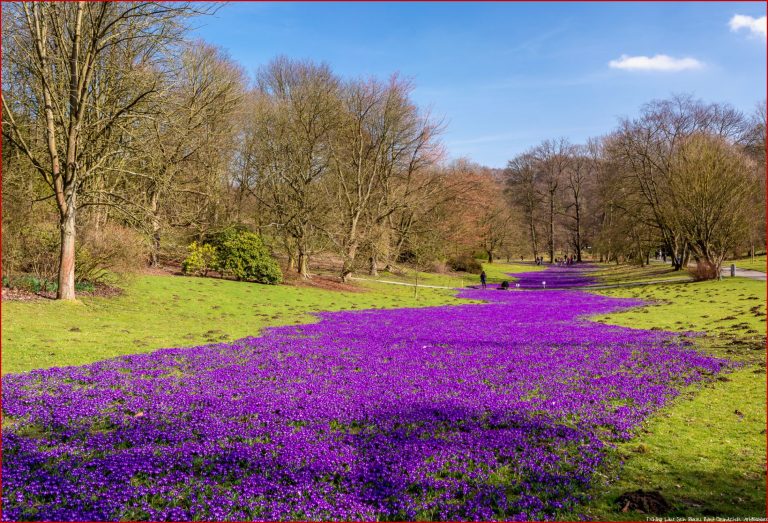 Frühling Lässt Sein Blaues Band Castrop Rauxel