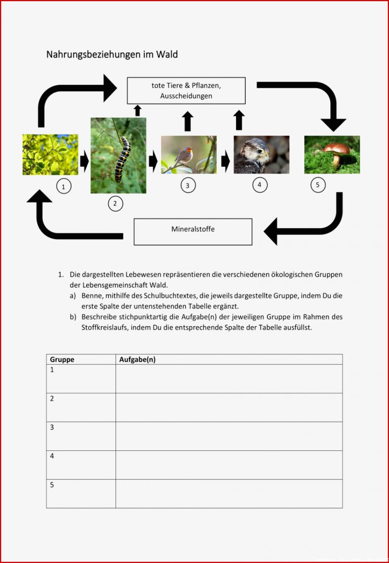 Funktionen Des Geldes Arbeitsblatt Debbie Preston Schule