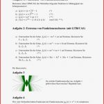 Funktionenscharen Arbeitsblatt Mathematik