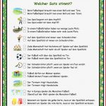 Fußball Welcher Satz Stimmt
