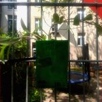 Garten Ag – Grundschule Im Hofgarten