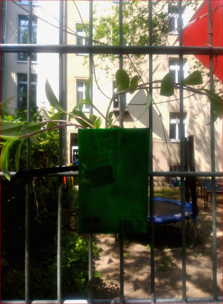 Garten Ag – Grundschule Im Hofgarten