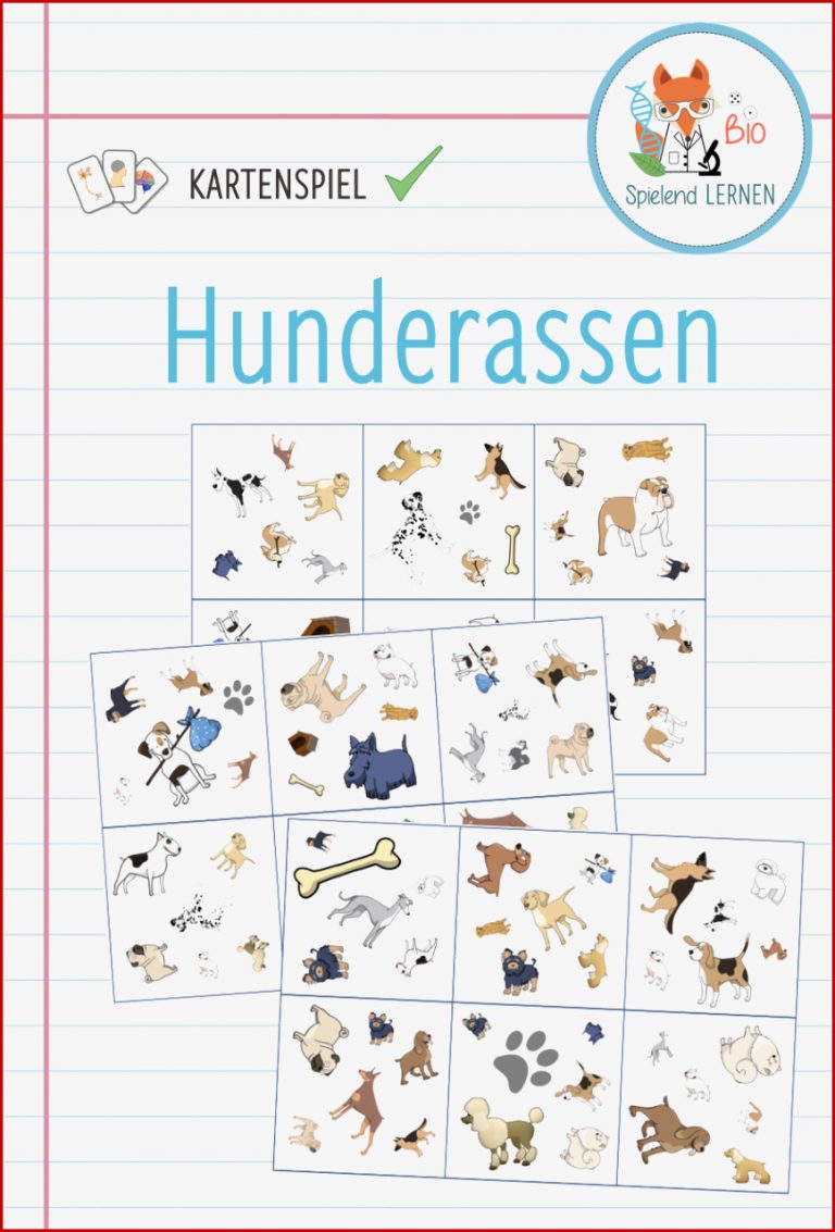 Gebiss Arbeitsblatt Hund Klasse 5 Mark Clifford Schule