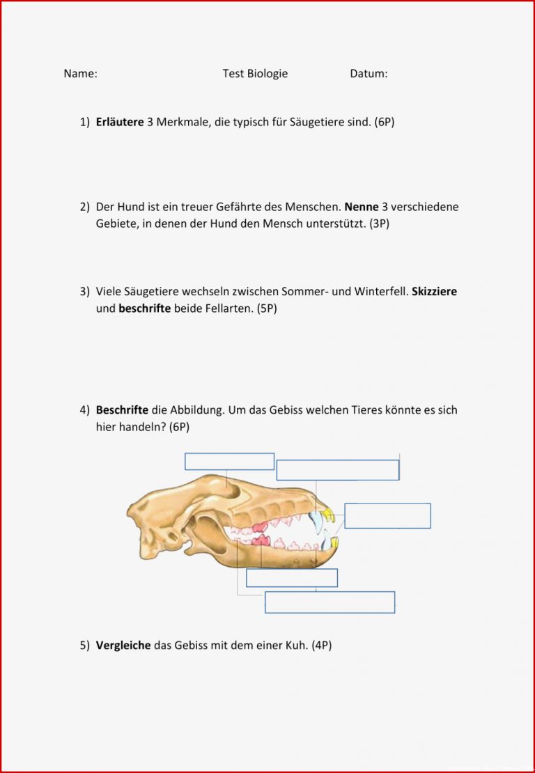 Gebiss Arbeitsblatt Hund Klasse 5 Nathan Hernandes