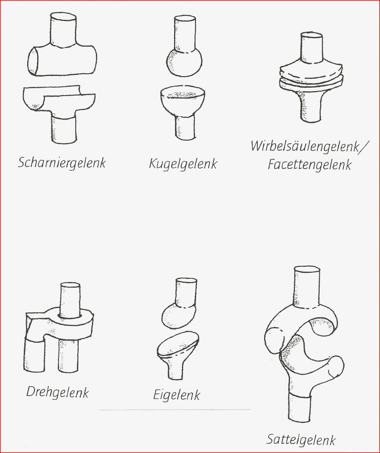 Gelenkarten gelenke des menschen arbeitsblatt Gelenkarten