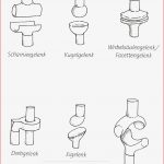 Gelenkarten Gelenke Des Menschen Arbeitsblatt Gelenkarten