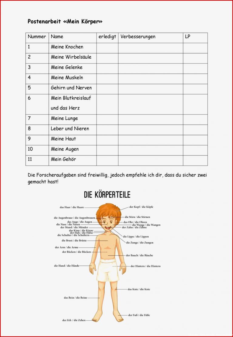 Gelenke 5 Klasse Arbeitsblätter Worksheets