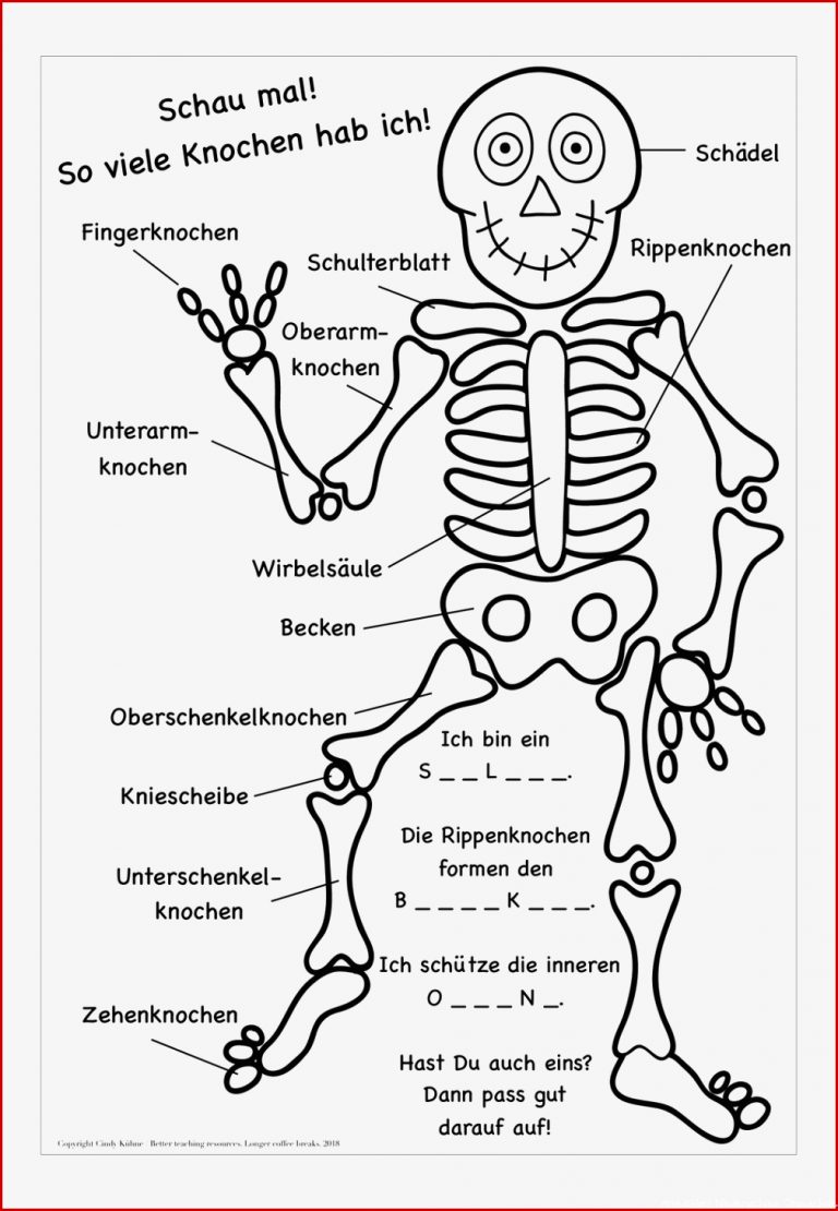 Gelenke Grundschule Arbeitsblätter Worksheets