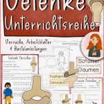 Gelenke Grundschule Arbeitsblätter Worksheets