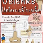 Gelenke Unterrichtsreihe Tafelmaterial Arbeitsblätter