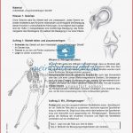 Gelenktypen Biologie Arbeitsblätter Klasse 5 Gelenke