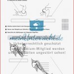 Gelenktypen Biologie Arbeitsblätter Klasse 5 Gelenke