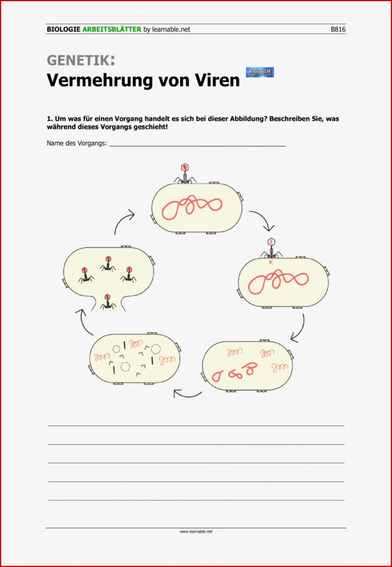 Genetik Vermehrung Von Viren – Unterrichtsmaterial Im
