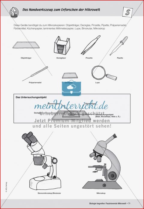 Geräte Zum Mikroskopieren Benötigt Werden Meinunterricht