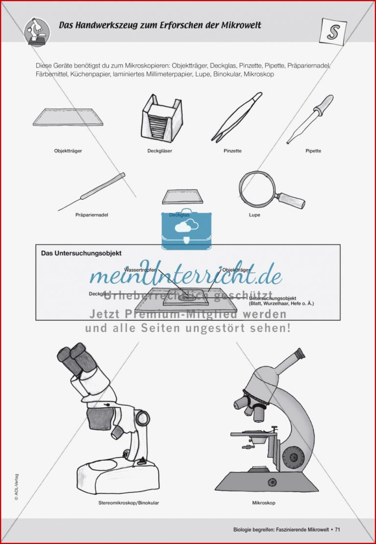 Geräte zum mikroskopieren benötigt werden meinUnterricht