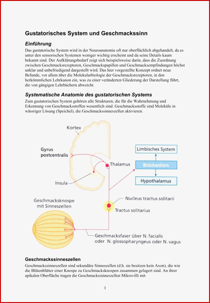 Geschmackssinn Magazine