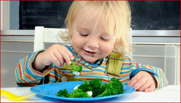 Gesunde Ernährung im Kindergarten