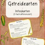 Getreide Bundle – Unterrichtsmaterial Im Fach