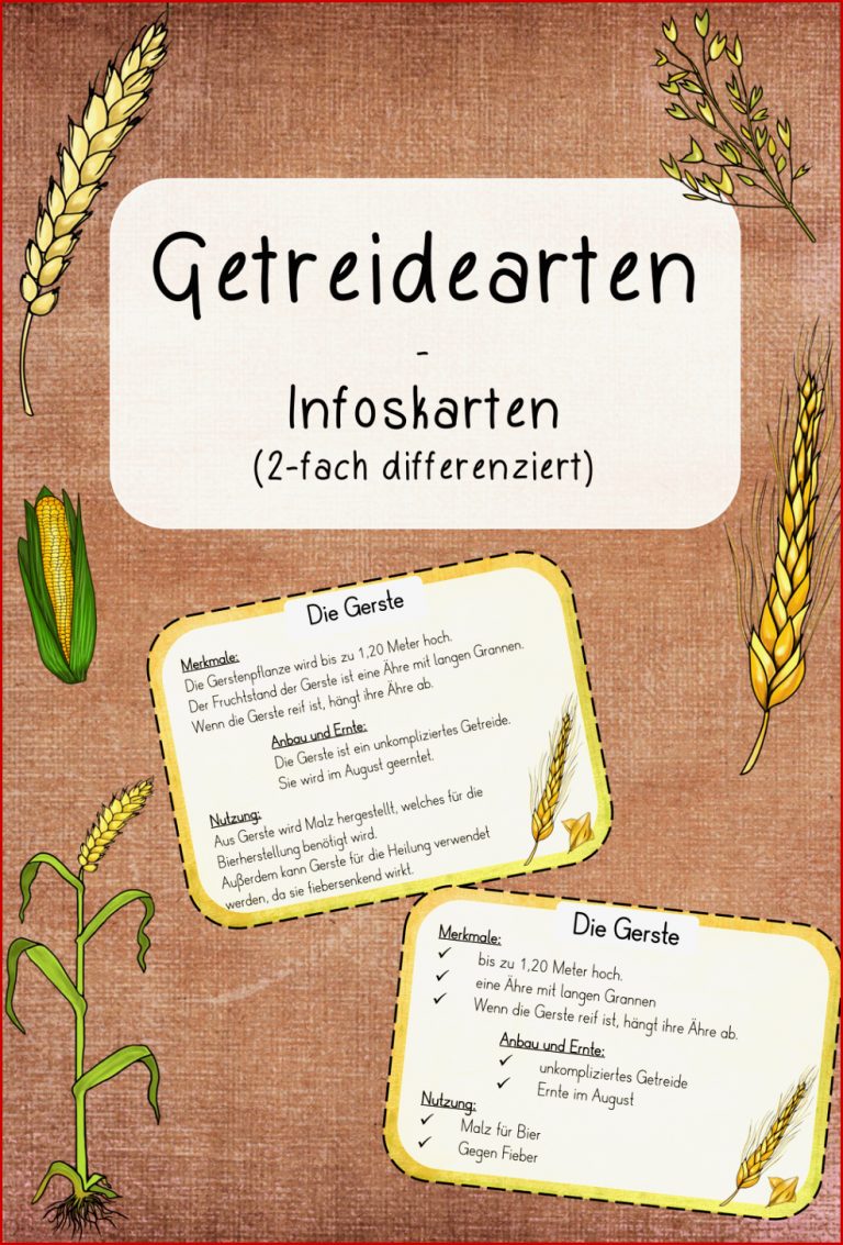 Getreide Bundle – Unterrichtsmaterial im Fach