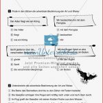 Grammatiktraining Adverbiale Bestimmung Meinunterricht