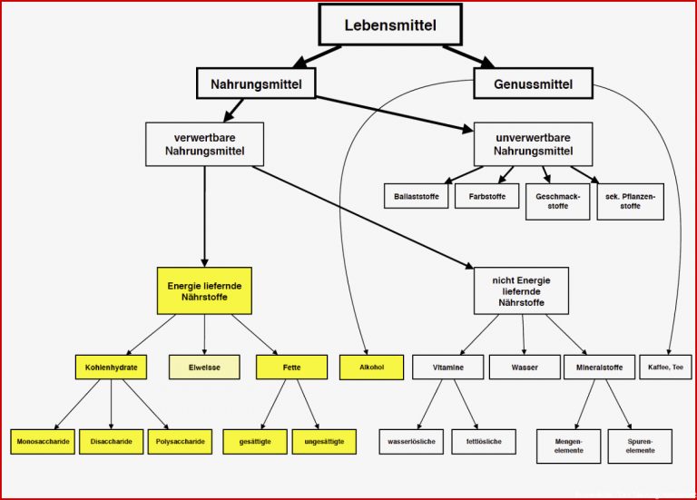 Grundlagen der Ernährung