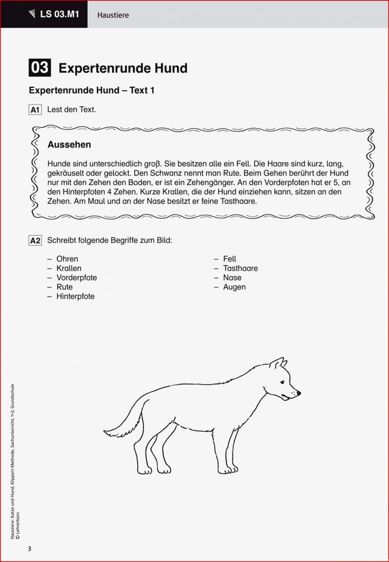 Grundschule Arbeitsblatter Hund Kostenlose Übungen