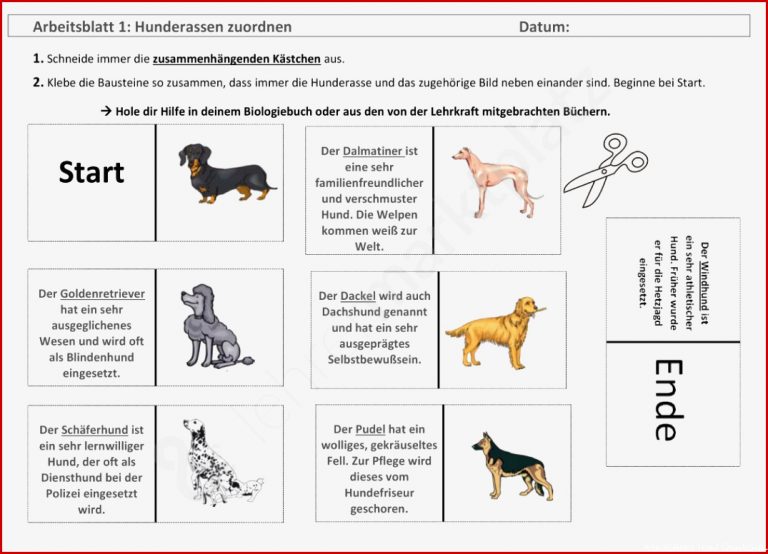 Grundschule Arbeitsblatter Hund Kostenlose Übungen