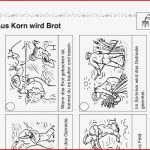 Grundschule Getreide Arbeitsblätter Worksheets