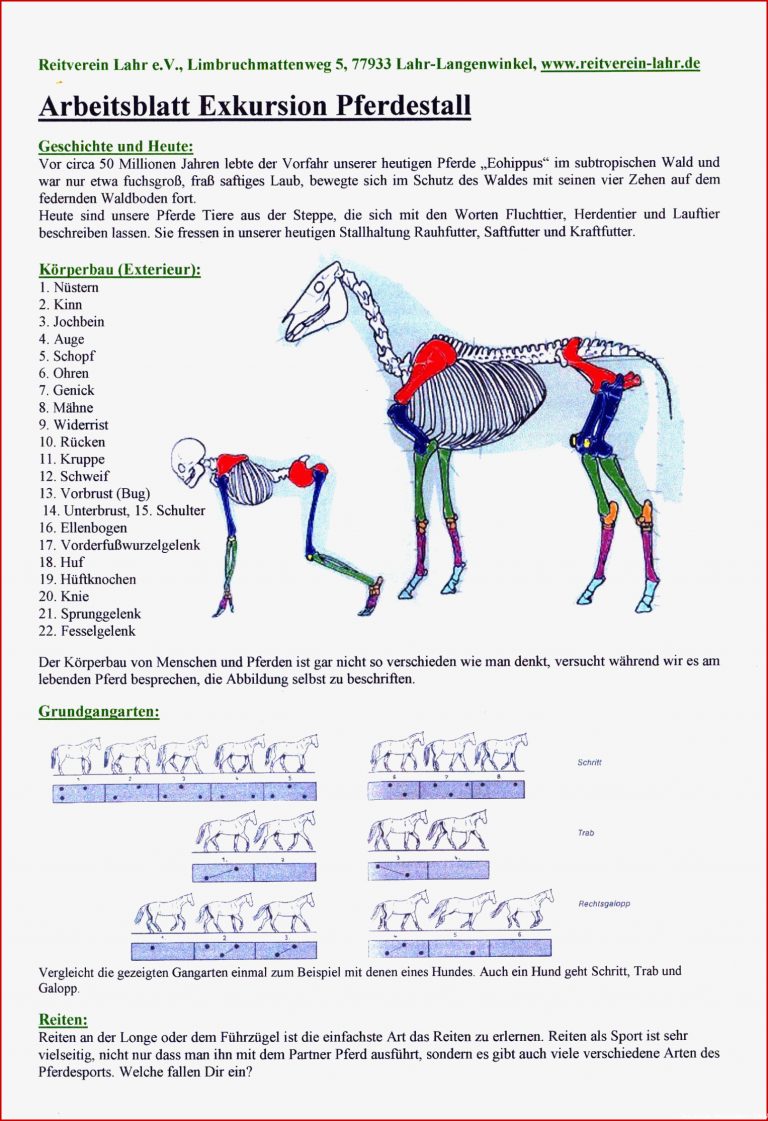 Grundschule Kuhbach Aktivitäten