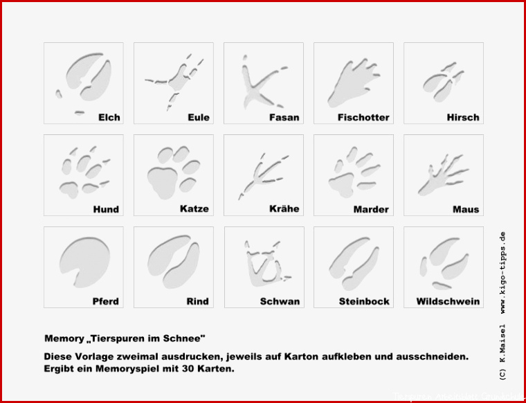 Grundschule Tierspuren Rätsel Arbeitsblatt Ausdrucken