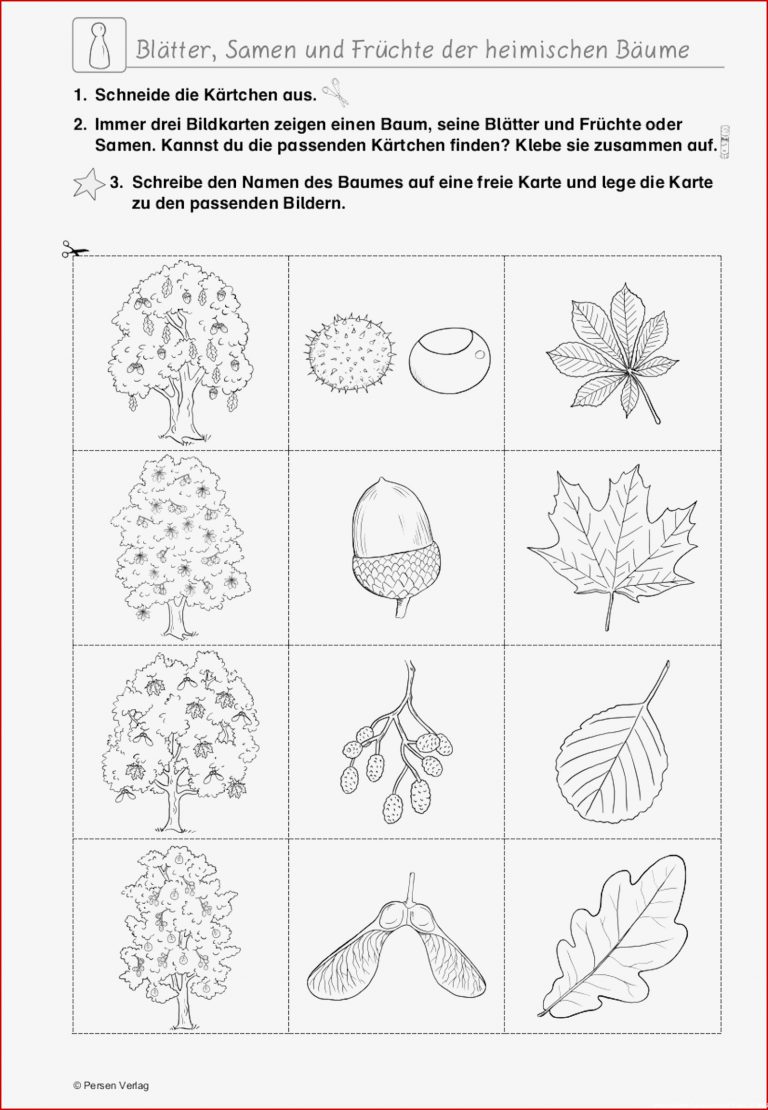 Grundschule Unterrichtsmaterial